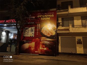 hoaring-15.jpg
