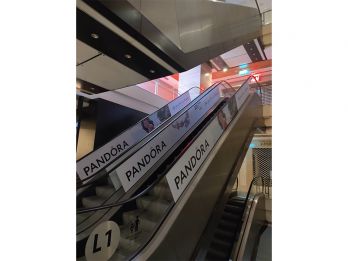 thi-cong-dan-decal-09.jpg
